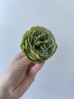 Піон декоративний зелений