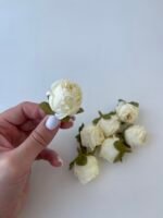 Троянда міні молочна