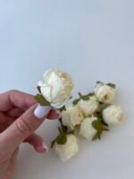 Троянда міні молочна - Зображення 3