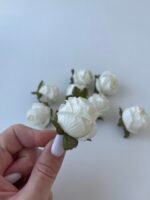 Троянда міні біла