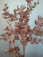 Евкаліп пластиковий рожевий - Зображення 2