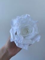 Троянда люкс велика біла