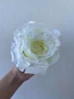 Троянда люкс велика айворі