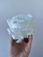 Троянда люкс велика айворі - Зображення 2