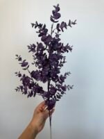 Евкаліп пластиковий фіолетовий