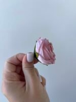 Піончик міні рожевий - Зображення 3