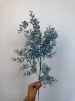 Евкаліп пластиковий блакитний