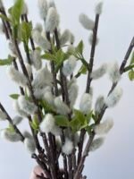 Гілочка верби з листочками - Зображення 3