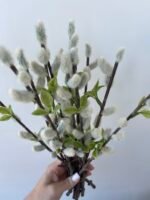 Гілочка верби з листочками - Зображення 4