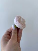 Піончик міні ніжно рожевий - Зображення 2