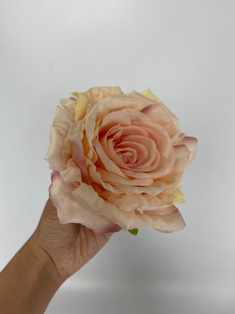 Головна img 9001