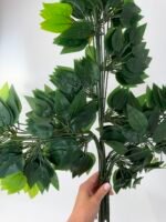 Листя фікуса зелений уп.12шт - Зображення 2