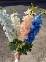 Дельфініум преміум гелевий білий - Зображення 3