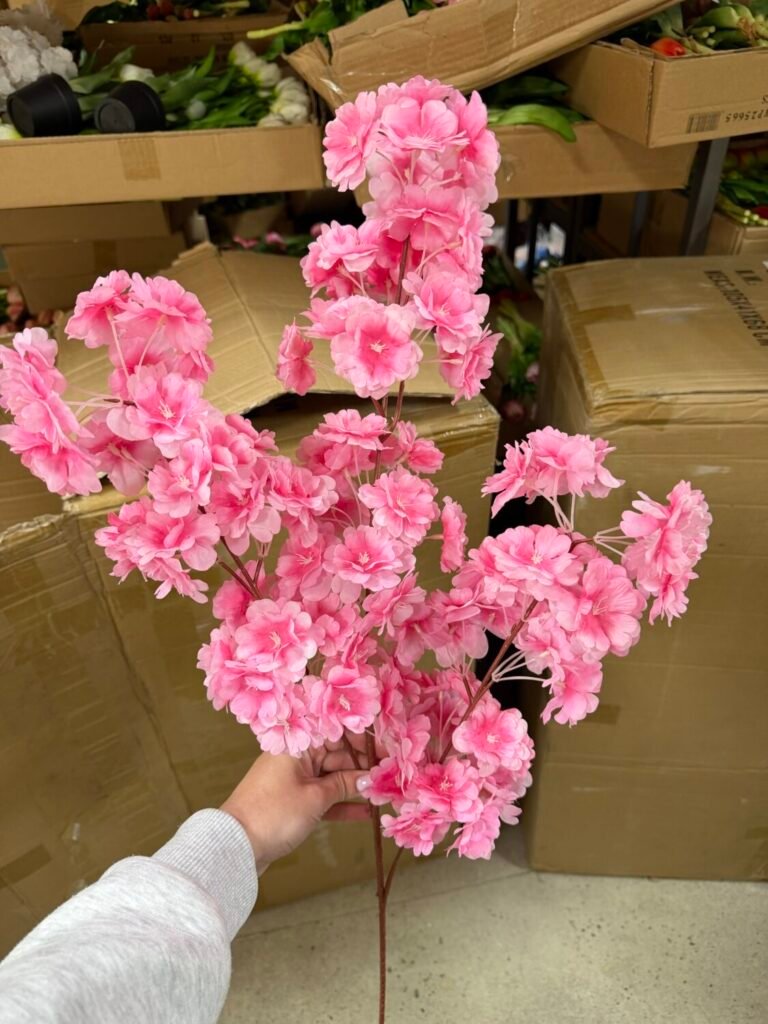 Головна img 2352