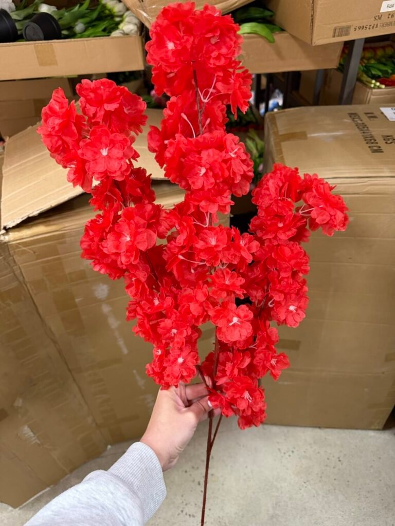 Головна img 2353