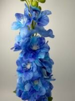 Дельфініум преміум гелевий синій - Зображення 2