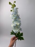 Дельфініум преміум гелевий блакитний