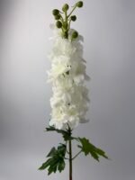 Дельфініум преміум гелевий білий