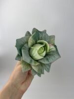 Троянда відкрита з 3-Д принтом зелена