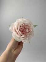 Піон  декоративний пудра - Зображення 2