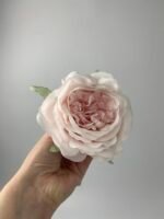 Піон  декоративний пудра