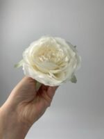 Піон  декоративний молочний - Зображення 2