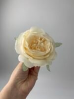 Піон  декоративний персик - Зображення 2