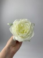 Піон  декоративний айворі