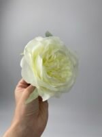 Піон  декоративний айворі - Зображення 2