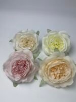 Піон  декоративний персик - Зображення 4