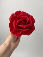 Троянда  відкрита червона