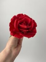 Троянда  відкрита червона - Зображення 2