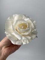 Троянда  відкрита молочна - Зображення 3