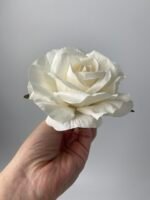 Троянда  відкрита молочна - Зображення 2