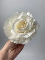 Троянда  відкрита молочна