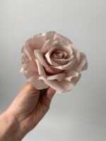 Троянда  відкрита пудра - Зображення 2