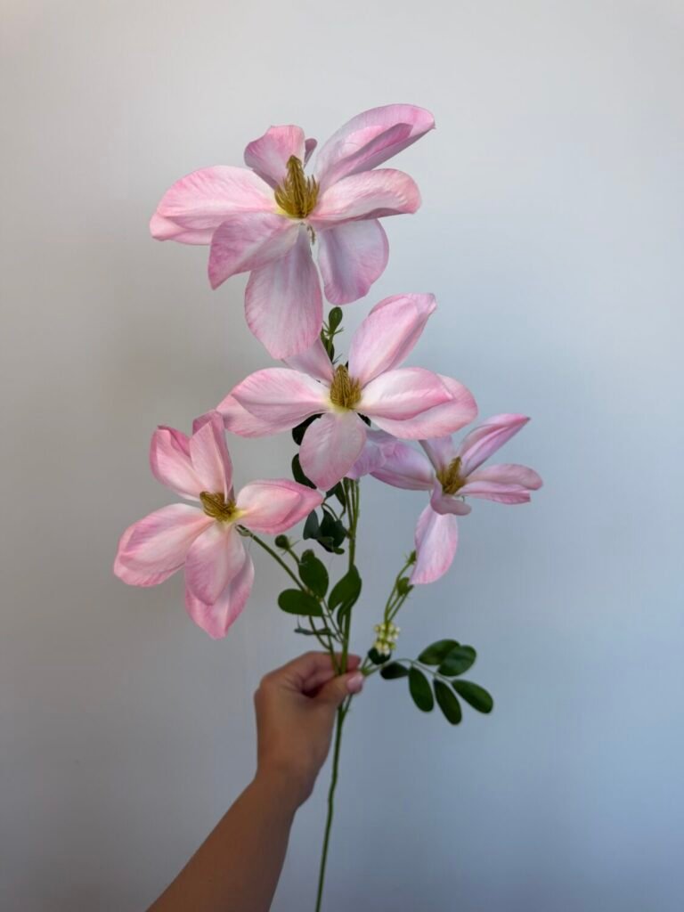 Головна img 8407