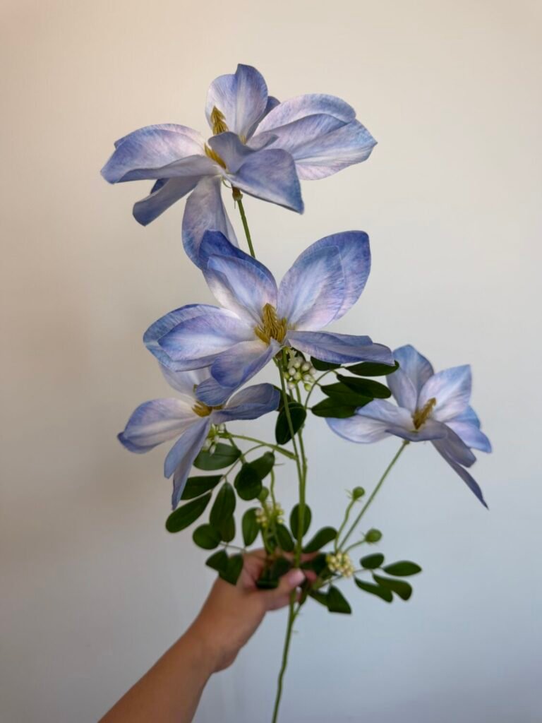 Головна img 8421