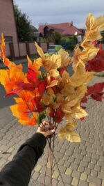 Гілка осінього листя помаранчева - Зображення 2