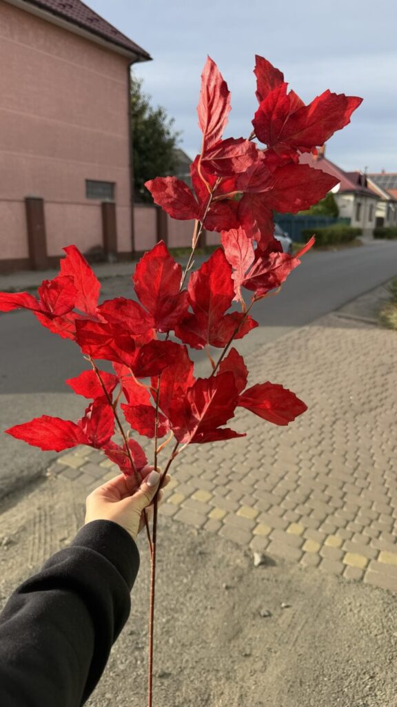 Головна img 7092