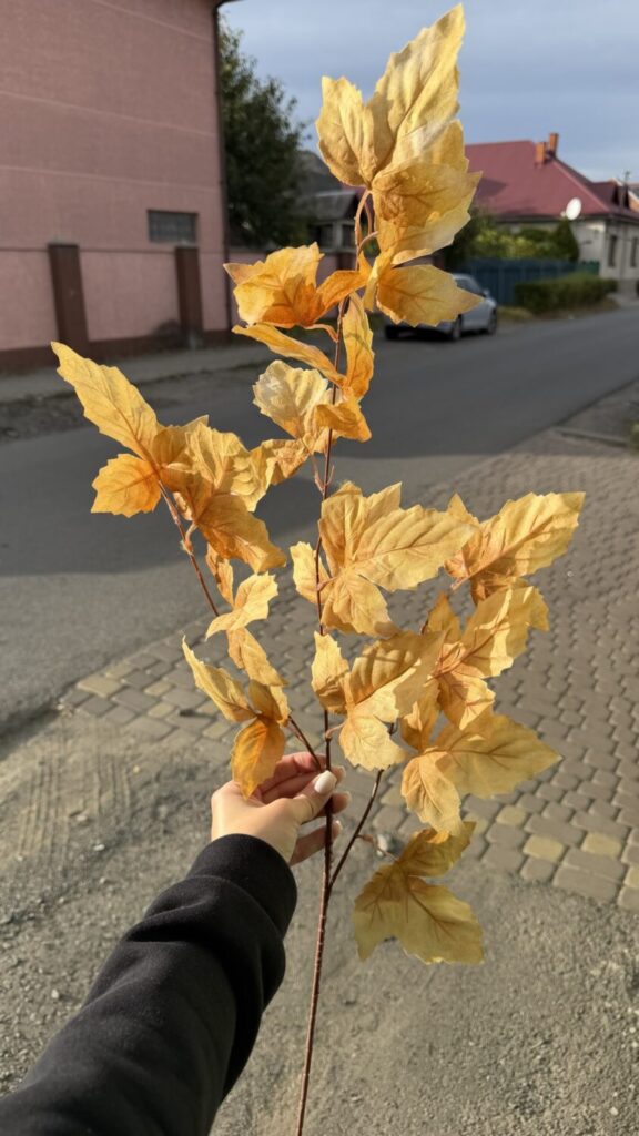 Головна img 7093